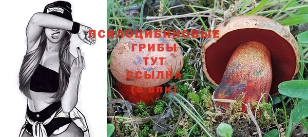 PSILOCYBIN Богородицк